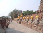 ayutthaya16