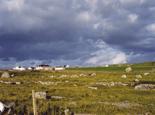 doolin9