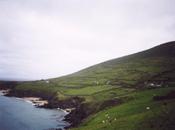 dunquin6