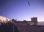 essaouira9