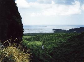 iriomote