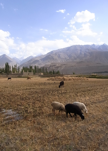 The_Pamir