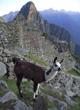 machu_picchu