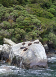 milford_sound34