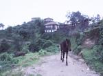 nagarkot7